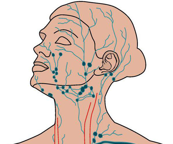 Обследование мягких тканей шеи­